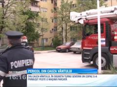 Din cauza vântului, în Drobeta Turnu Severin un copac s-a prăbuşit peste o maşină parcată