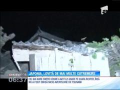 Japonia, lovită de mai multe cutremure