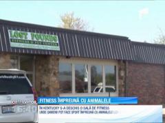 Două americance au deschis o sală de fitness mixtă! Pentru oameni şi animalele lor de companie