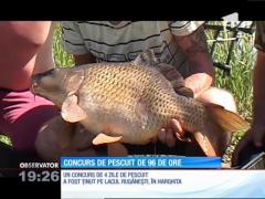 Concurs de pescuit de 96 de ore