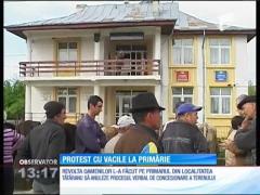 Au venit cu vacile să protesteze în fața primăriei