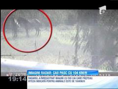 O ieșeancă a câștigat un proces cu poliția rutieră după ce a demonstrat că radarul era defect