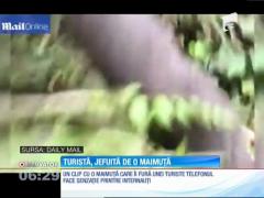 O tânără din China a fost jefuită în vacanţă de o maimuţă