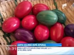 În Valea Bărgăului, copiii merg din casă-n casă să adune ouă roșii