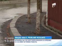 Copacii asfaltați din Breaza au fost scoși