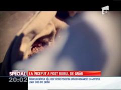 SPECIAL! Poveştile neştiute ale satului românesc se sting împreună cu tradiţiile agrare