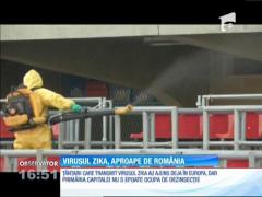 Ţânţarii care transmit virusul Zika au ajuns în Europa