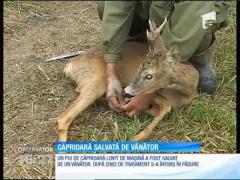 Observator 16 Weekend