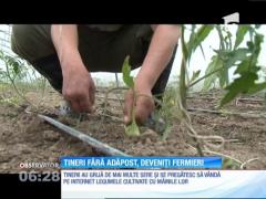 Tineri fără adăpost, deveniţi fermieri