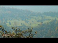 anca_lungu_ROmandria