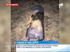 Anexele a două gospodării din Suceviţa au fost făcute scrum