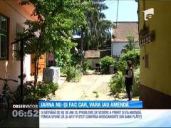 Câteva familii din Sibiu au primit amenzi pentru că nu au curăţat zăpada din faţa casei