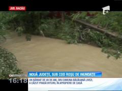 Observator 16 Weekend