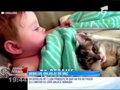 Bebeluşul grijuliu cu pisica lui