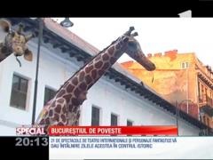 SPECIAL! B-Fit In The Street, evenimentul care a colorat străzile din Centrul Vechi