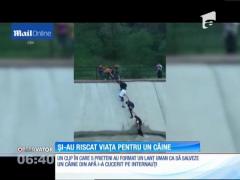 Și-au riscat viața pentru un câine