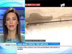 Observator de weekend