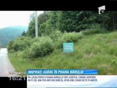 Cel mai pur aer se respiră în România! Află în ce loc!