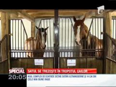 Special! Oamenii din satul Apoș, județul Sibiu, se trezesc în tropotul cailor