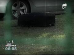 Un geamantan negru, abandonat într-un parc din Târgu Jiu, a pus pe jar pirotehniştii