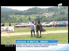 Mai mulți cai au făcut spectacol la Runcu, în Dâmboviţa