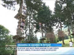 Răcoarea se ascunde în Munții Retezat