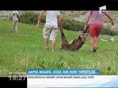 Observator 19 - partea II