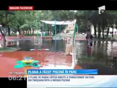 După o scurtă ploaie, un parc din Timişora s-a transformat într-o mică Veneţie