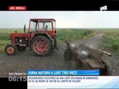 Un cioban din Dambovita si 100 de oi au murit, loviti de fulger