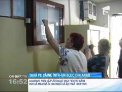 Taxă de câine de 100 de lei pe lună într-un bloc din Arad