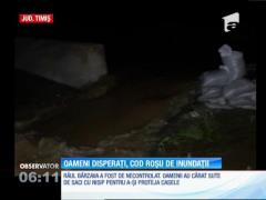 Noapte de groază în judeţul Timiş. Mai multe localităţi au fost lovite de viitură, după lăsarea întunericului