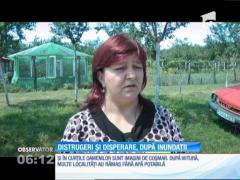 Ploile au făcut prăpăd în județul Caraş-Severin! Locuințe inundate și drumuri blocate de ape