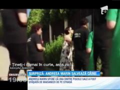 Andreea Marin vrea să salveze câinii străzii