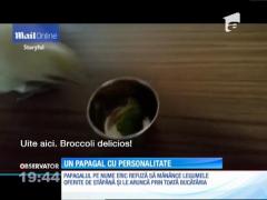 Un papagal cu personalitate