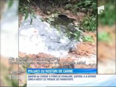 Capitala e înconjurată de munţi de gunoaie. Se vede, şi se simte de cum ajungi la marginea Bucureştiului. Ca să nu plătească, firmele sau cartierele rezidenţiale îşi aruncă mizeriile unde apucă