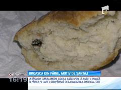 Un cap de broască găsit într-o pâine, motiv de şantaj pentru un tânăr din Buzău