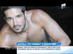 Viceprimarului "Tudy" vrea ca Bucureştiul să fie prietenos cu animalele