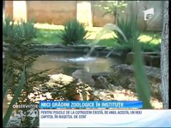 Palatul Cotroceni seamănă cu o minigrădină zoologică