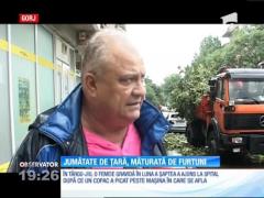 Ploaia şi vijeliile au făcut ravagii în jumătate de ţară