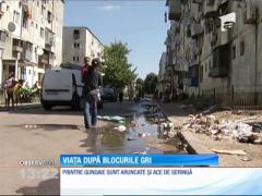 Viaţa în cel mai rău famat cartier din Bucureşti: Ferentari