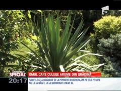 Special! Un orădean a colecționat 80 de plante care nu se mai găsesc în România
