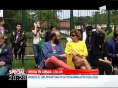 Special! Modă în cușca leilor