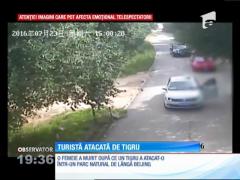 O femeie a murit după ce a fost atacată de un tigru, într-un parc natural de lângă Beijing