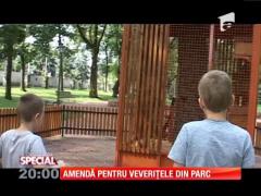 SPECIAL! Amendă pentru veveriţele din parc