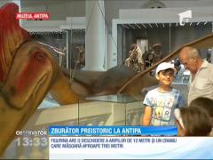 Cel mai mare dinozaur zburător din lume, descoperit pe teritoriul României, va fi prezentat la muzeul Antipa