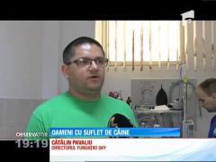 Cazul câinilor acoperiţi cu smoală şi abandonaţi la marginea oraşului Iaşi, în atenţia autorităţilor