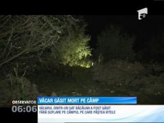 Moarte cumplită pentru un bărbat din judeţul Bacău. Trupul său, plin de răni, zăcea pe un câmp. Anchetatorii iau în calcul o crimă