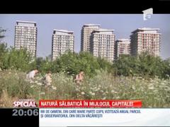 Special! Delta din jungla urbană