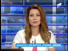 Veveriţele din Bistriţa sunt din nou în atenţie publică. Nici până azi, nimeni nu ştie exact de unde provin