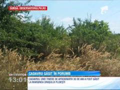 O tânără neidentificată a fost găsită moartă într-un lan de porumb, la marginea Ploieştiului
